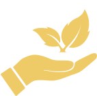 ENVIRONMENT-FRIENDLY