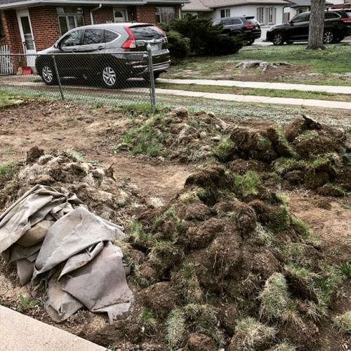 landscape-debris-removal-before